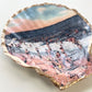 Amber Beach Seashell Trinket Dish - Gold Trimmed - Gordon Craftworks